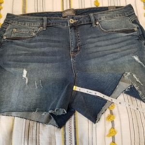 NWT Torrid Distressed Cut Off Jean Shorts